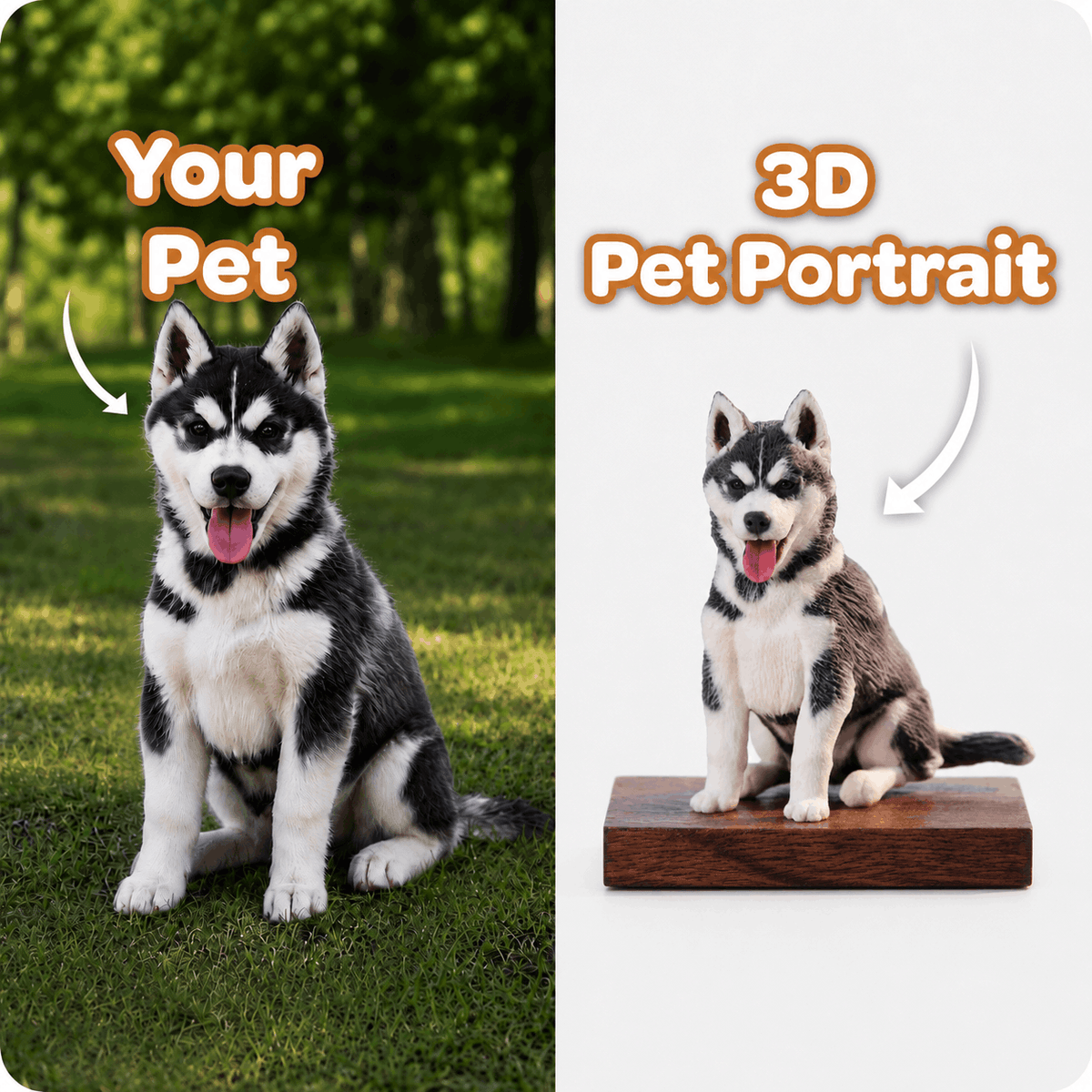 PetPortrait